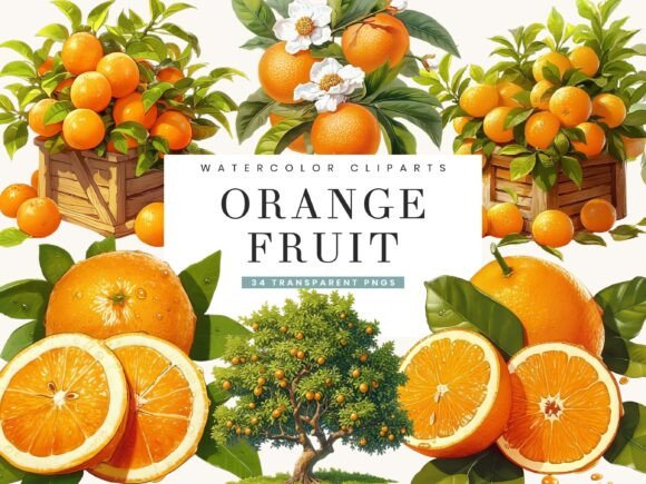 Download Watercolor Italy Orange Fruit Clipart - Watercolor Collection