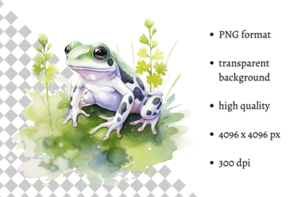 Download Watercolor Frog Illustration - Watercolor Collection