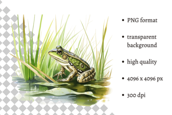 Download Watercolor Frog Illustration - Watercolor Collection