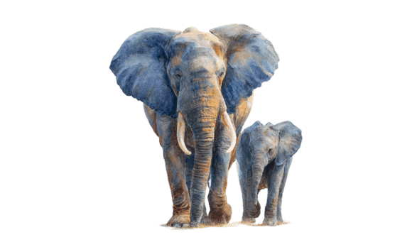 Download Elephant Mom &amp; Calf Watercolor Art - Watercolor Collection
