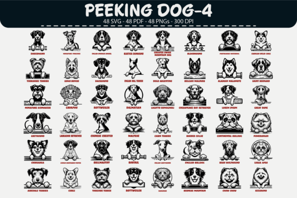 Download Peeking Dog Vector Clipart – 48 Designs - Dog Collection