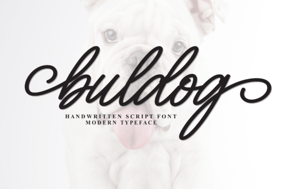 Download Buldog - Dog Collection