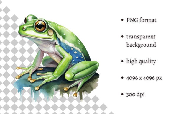 Download Watercolor Frog Illustration - Watercolor Collection